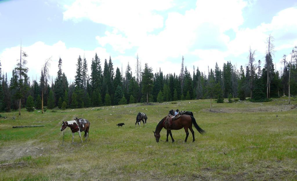 Medicine Bow Lodge Tenmile Exterior photo